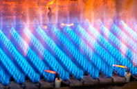 Dapple Heath gas fired boilers